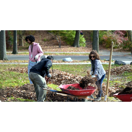 Thumbnail Image 1